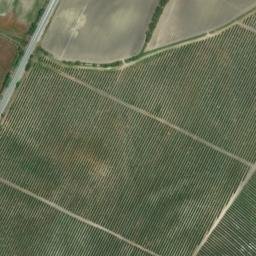 Satellite imagery of survey_point, DZ