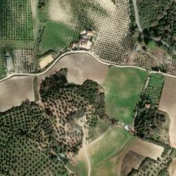 Satellite imagery of survey_point, DZ