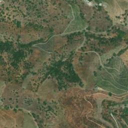 Satellite imagery of survey_point, DZ