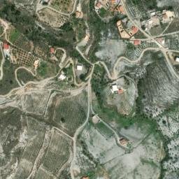 Satellite imagery of survey_point, DZ