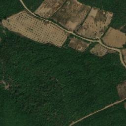 Satellite imagery of Sra Dî Souîka, DZ