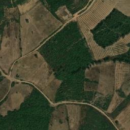 Satellite imagery of Sra Dî Souîka, DZ
