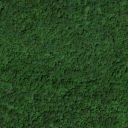 Satellite imagery of Alum Cave Ridge, US