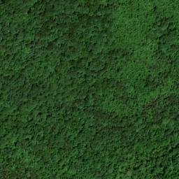 Satellite imagery of Alum Cave Ridge, US