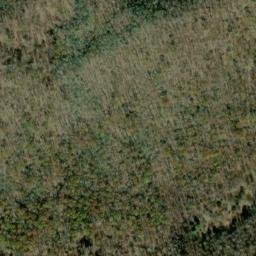 Satellite imagery of Hickory Ridge, US