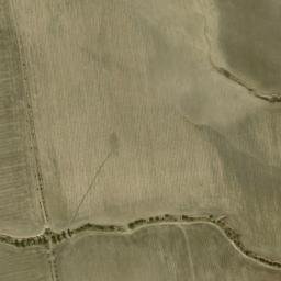 Satellite imagery of survey_point, DZ