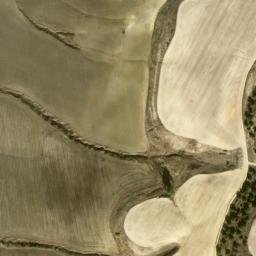 Satellite imagery of survey_point, DZ