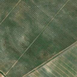 Satellite imagery of survey_point, DZ