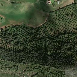Satellite imagery of survey_point, DZ