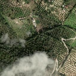Satellite imagery of survey_point, DZ