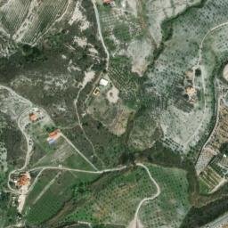 Satellite imagery of survey_point, DZ