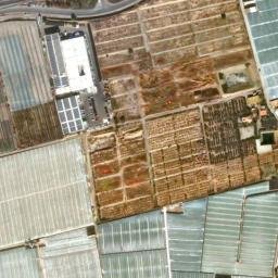 Satellite imagery of survey_point, DZ