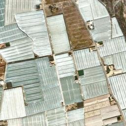 Satellite imagery of survey_point, DZ