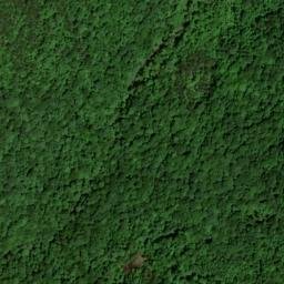 Satellite imagery of Alum Cave Ridge, US