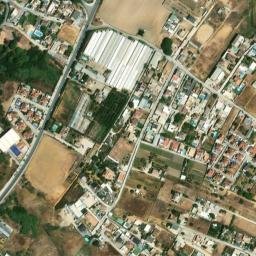 Satellite imagery of survey_point, DZ