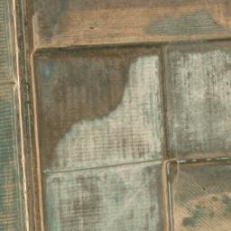 Satellite imagery of survey_point, DZ