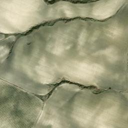 Satellite imagery of survey_point, DZ