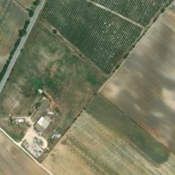 Satellite imagery of survey_point, DZ