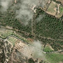 Satellite imagery of survey_point, DZ