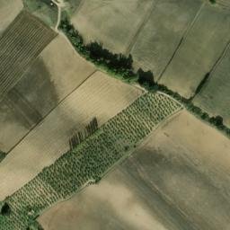 Satellite imagery of survey_point, DZ