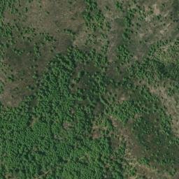 Satellite imagery of survey_point, DZ