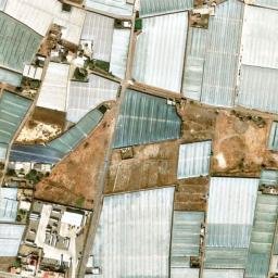 Satellite imagery of survey_point, DZ