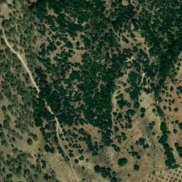 Satellite imagery of survey_point, DZ