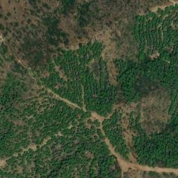 Satellite imagery of survey_point, DZ