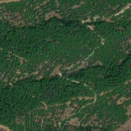 Satellite imagery of survey_point, DZ