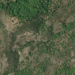 Satellite imagery of survey_point, DZ
