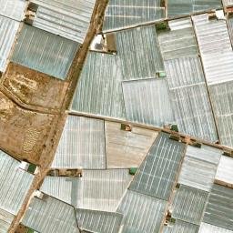 Satellite imagery of survey_point, DZ