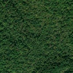 Satellite imagery of Coopersville Ridge, US