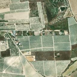Satellite imagery of survey_point, DZ
