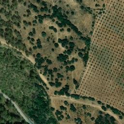 Satellite imagery of survey_point, DZ