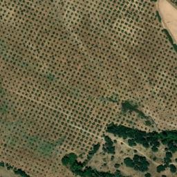 Satellite imagery of survey_point, DZ