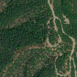 Satellite imagery of survey_point, DZ
