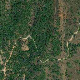 Satellite imagery of survey_point, DZ