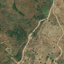 Satellite imagery of survey_point, DZ