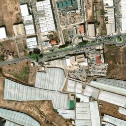 Satellite imagery of survey_point, DZ