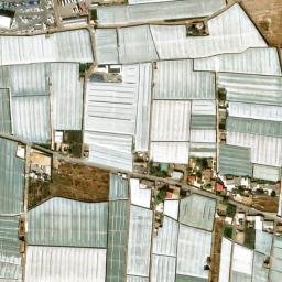 Satellite imagery of survey_point, DZ
