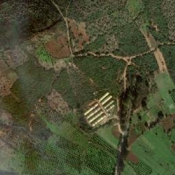 Satellite imagery of Koudiet Têmzârat, DZ