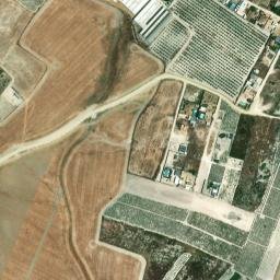 Satellite imagery of survey_point, DZ