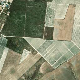 Satellite imagery of survey_point, DZ