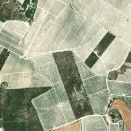 Satellite imagery of survey_point, DZ