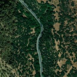 Satellite imagery of survey_point, DZ
