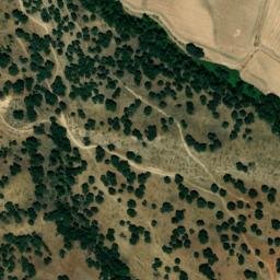 Satellite imagery of survey_point, DZ