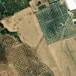 Satellite imagery of survey_point, DZ
