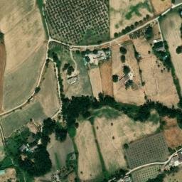 Satellite imagery of survey_point, DZ