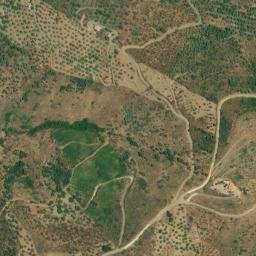 Satellite imagery of survey_point, DZ