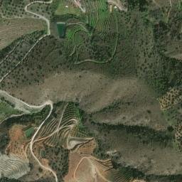 Satellite imagery of survey_point, DZ